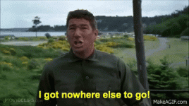 1765925166059.gif