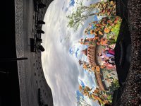 IMG_1049.jpeg