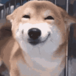1766242045857.gif