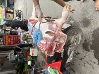 IMG_9691.jpeg