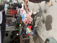 IMG_9692.jpeg