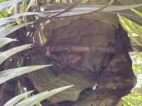 IMG_5974.jpeg
