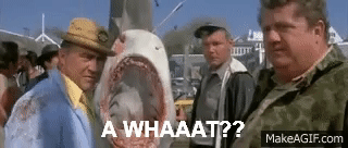 1768232259412.gif