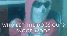 party-dog.gif