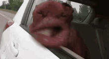 1769126297513.gif
