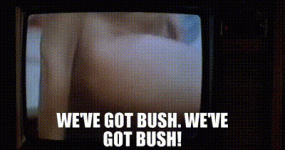 1769357363955.gif 1769357363955.gif