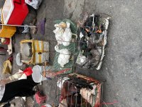 IMG_1715.jpeg