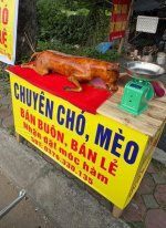 IMG_1758.jpeg