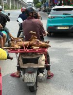 IMG_1762.jpeg