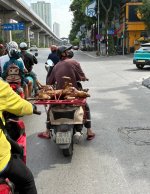 IMG_1761.jpeg