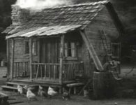 1771794664284.jpeg 1771794664284.jpeg