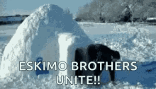 1773289583905.gif