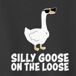 silly goose.jpeg