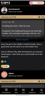 gaylosers Sports Forum vitterd post #28 vitch shot down by Le Martin.jpg