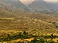 IMG_6945.JPG IMG_6945.JPG