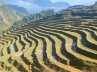 IMG_6946.JPG IMG_6946.JPG