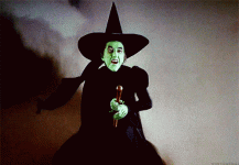 1777484484595.gif