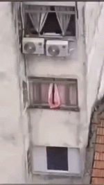 1777829332611.gif