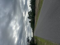 IMG_4482.jpeg