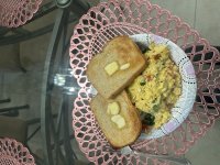 IMG_4508.jpeg