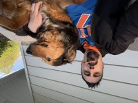 IMG_3346.jpeg