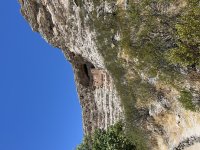 IMG_7854.jpeg