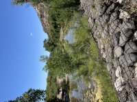 IMG_7857.jpeg