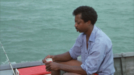 1778781981334.gif