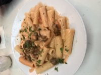 IMG_2796.jpeg