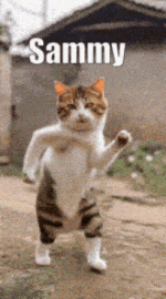 1779591988967.gif