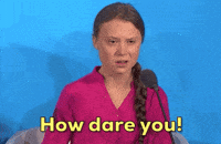 IMG_8061.gif
