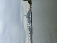 IMG_4156.jpeg IMG_4156.jpeg