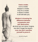 1780060684164.png
