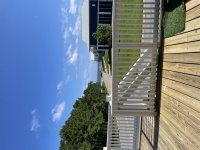 IMG_3875.jpeg