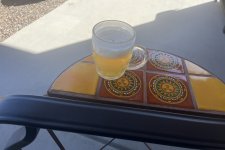 IMG_8139.jpeg IMG_8139.jpeg