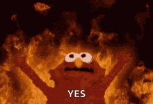 angry-elmo.gif