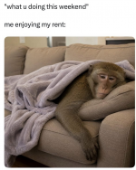 1780687810819.png