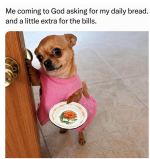 1780755103394.png