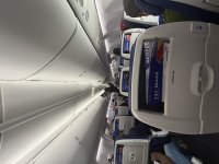 IMG_3019.jpeg IMG_3019.jpeg