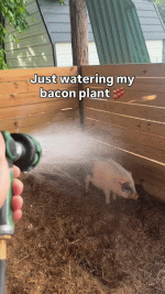 1781112943571.gif