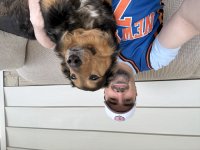 IMG_3542.jpeg