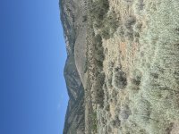 IMG_4193.jpeg