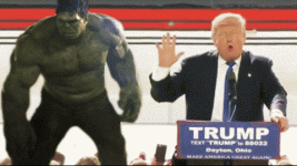 1781482320410.gif