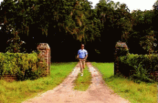 IMG_8335.gif