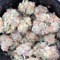 smoke