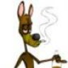 rabiddog