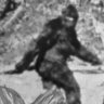 bigfootisreal