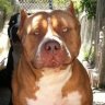 rudy247365