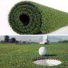 greengrass