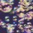 Bubbles
